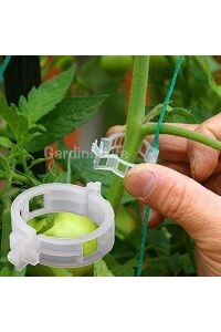 Sera İpi - Bitki Bağlama İpi ve Bitki Klipsi 100 Adet Her Bitkiyle Uyumlu - 6