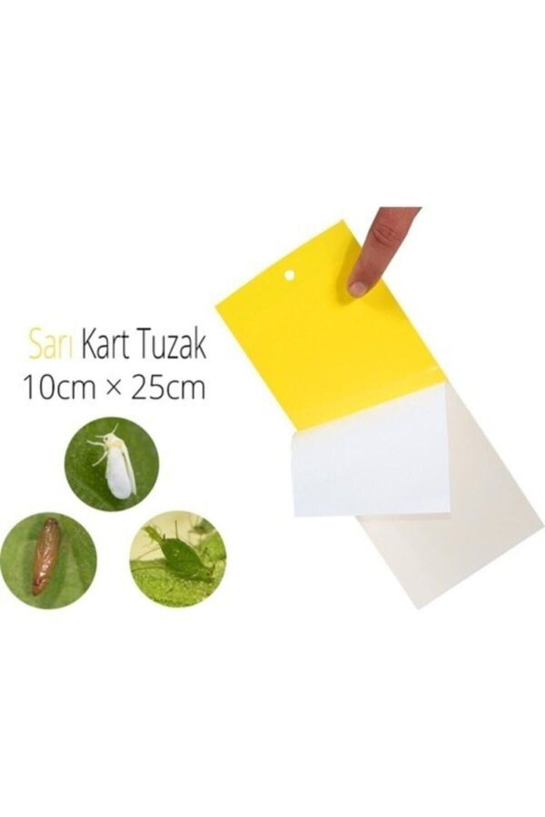 Sinek Ve Böcekler Için Sarı Yapışkan Tuzak 20 X 10 cm 10'lu - 