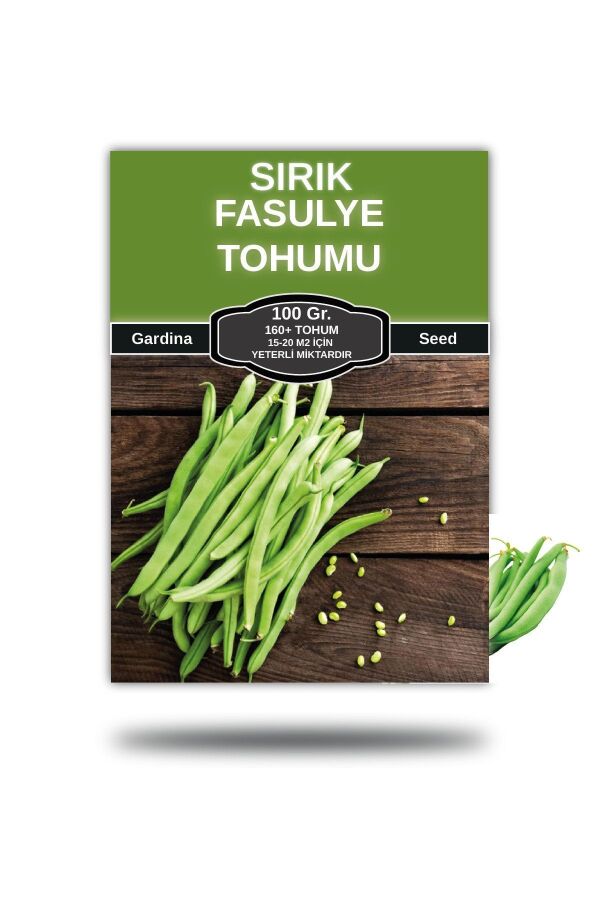 Sırık Taze Fasulye Tohumu 100 gram ( Çalı Fasulye ) - 