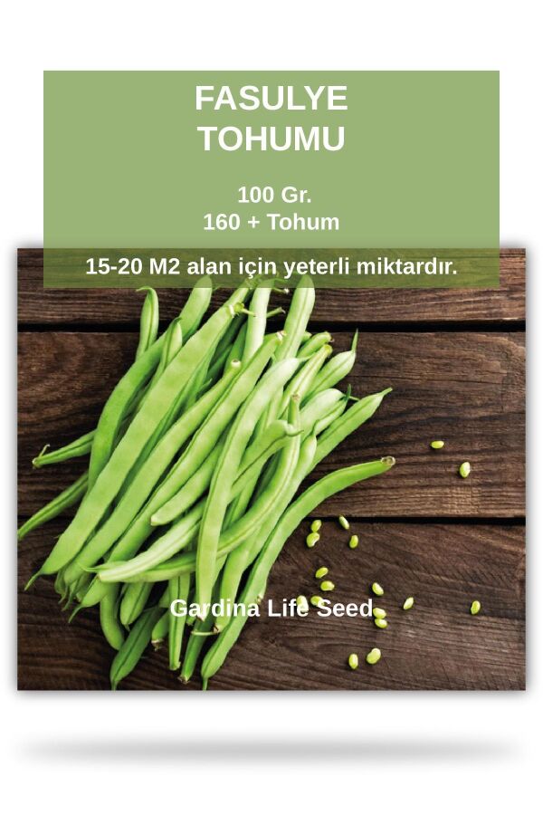 Sırık Taze Fasulye Tohumu 100 gram - 