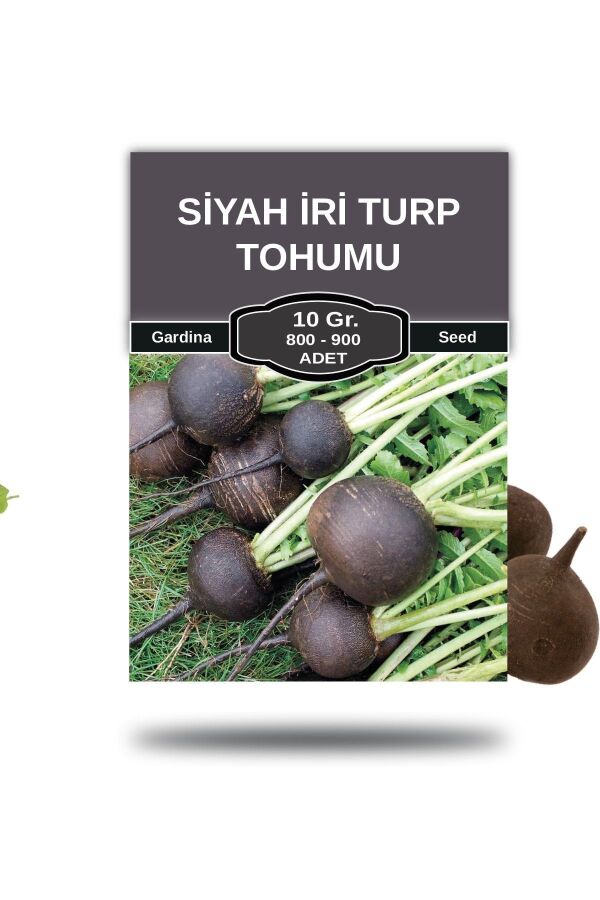 Siyah Turp Tohumu 10 Gr. 800 Tohum - 