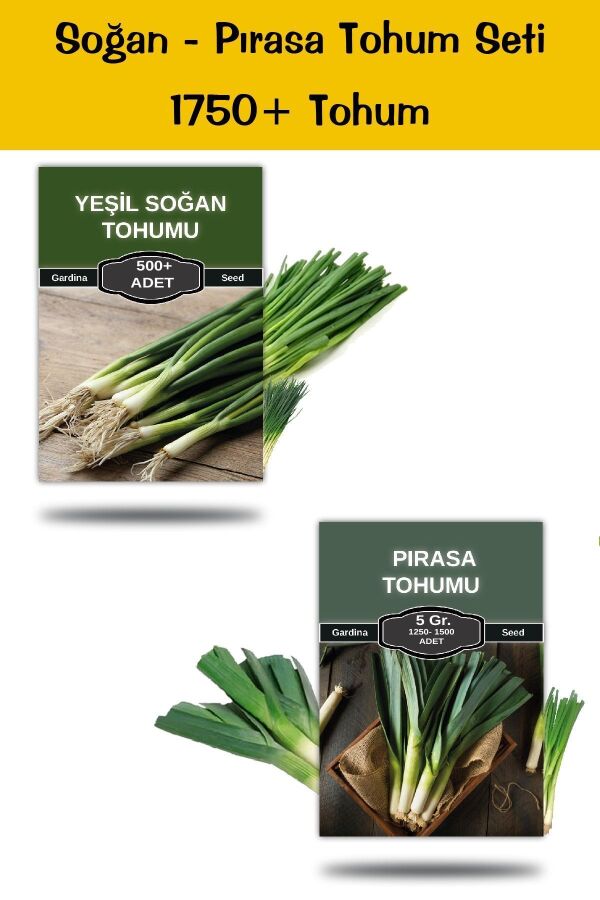 Soğan Pırasa Tohum Paketi 1750 Tohum - 
