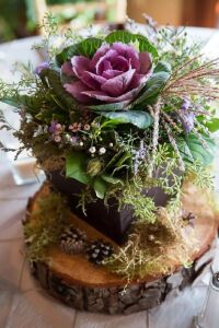 Süs Lahanası Fidesi ( Brassica ) 10 Adet Rose - 3