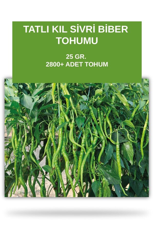 Tatlı Kıl Sivri Biber Tohumu 25 gram 2800 Tohum - Gardina