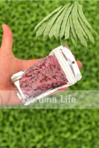 Taze Fasulye Tohumu Oturak 100 gram ( 40 Günlük ) - 2