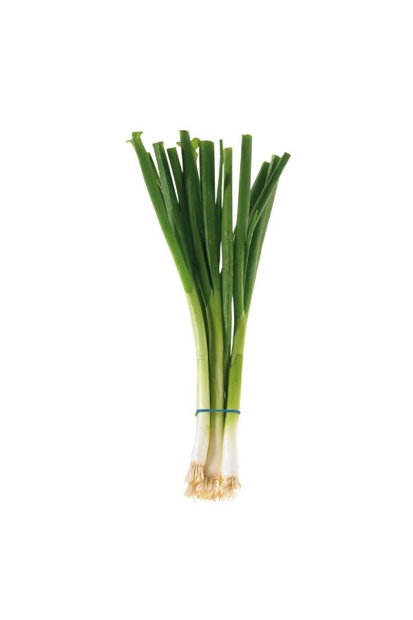 Taze Soğan Fidesi 10 Adet - Gardina