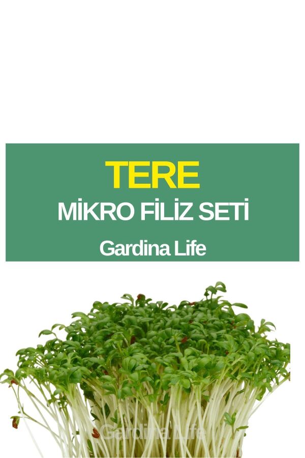 Tere Mikro Filiz Seti - 