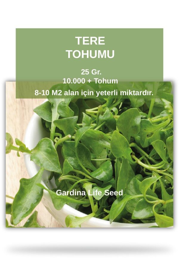 Tere Tohumu 25 Gr. 10.000 Tohum STOH162, one size - 