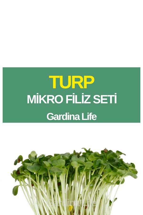Turp Mikro Filiz Seti - 