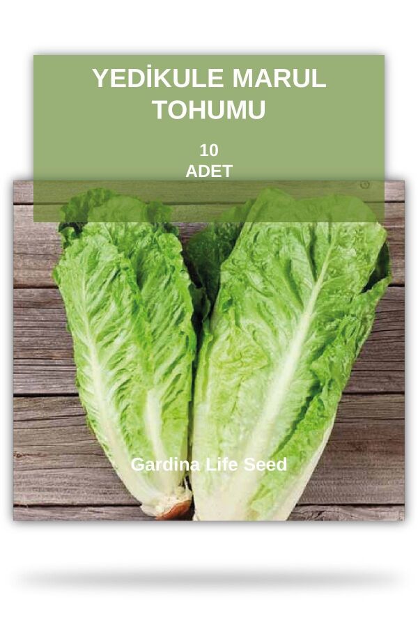 Yedi Kule Marul Tohumu - 