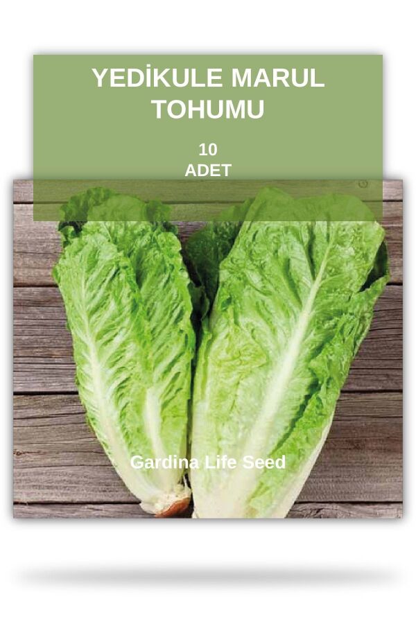 Yedi Kule Marul Tohumu - Gardina